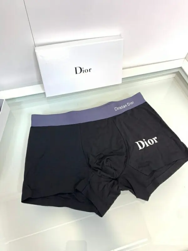 christian dior sous vetementss pour homme s_10707243